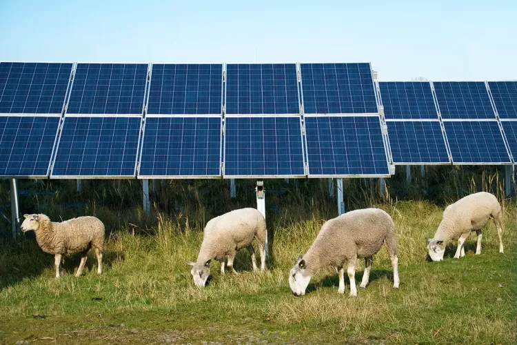 climate an business solutions