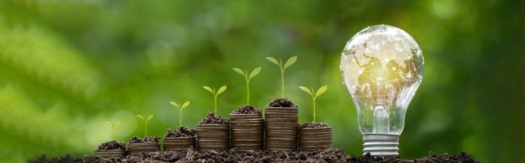  Licensed  Save to Library  Preview Crop  Find Similar   FILE #:  615694954 The world map with network connection is on a light bulb that located on the soil and plants grow on stacked coins. Concept of Green business, Sustainable development goals, Renewable energy. 