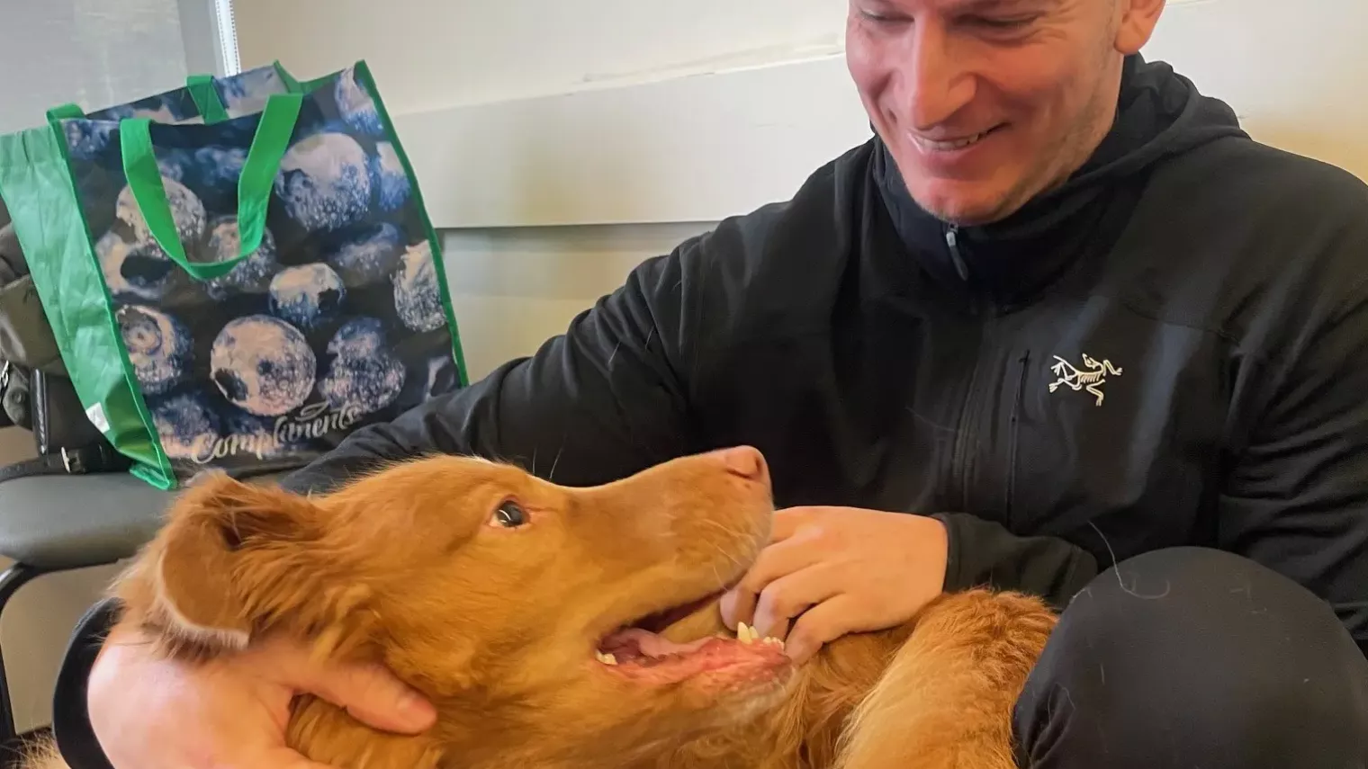 Person playing with a dog